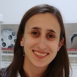 Antonela Tommasel