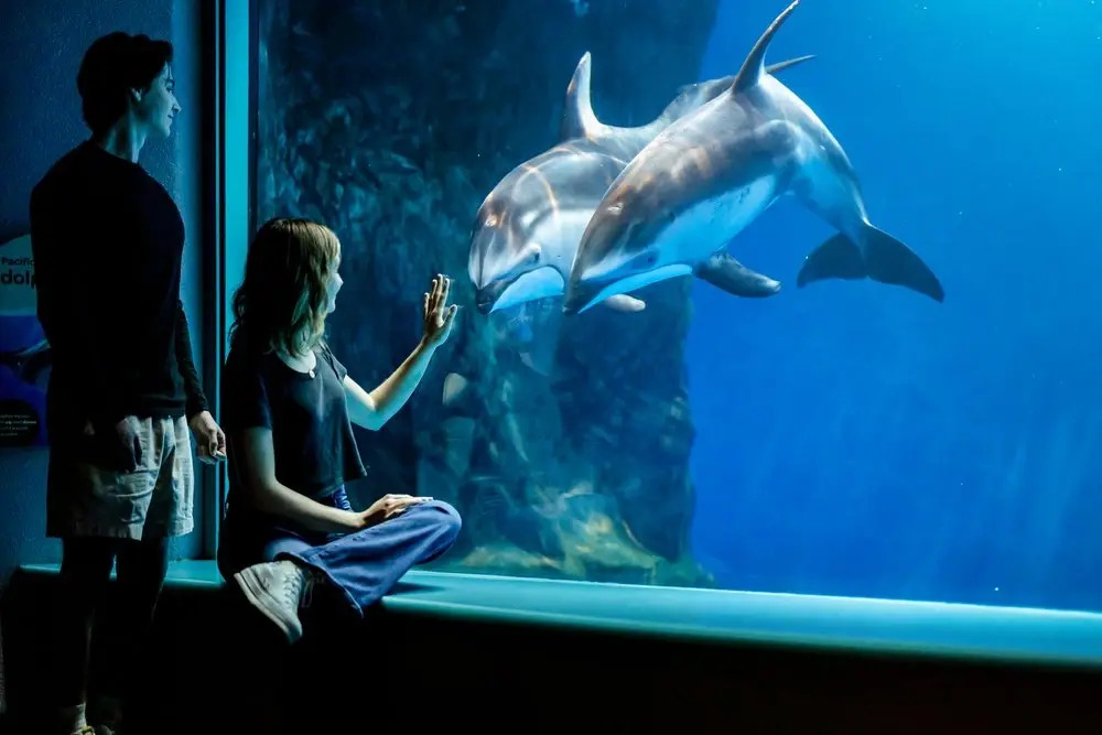Shedd Aquarium