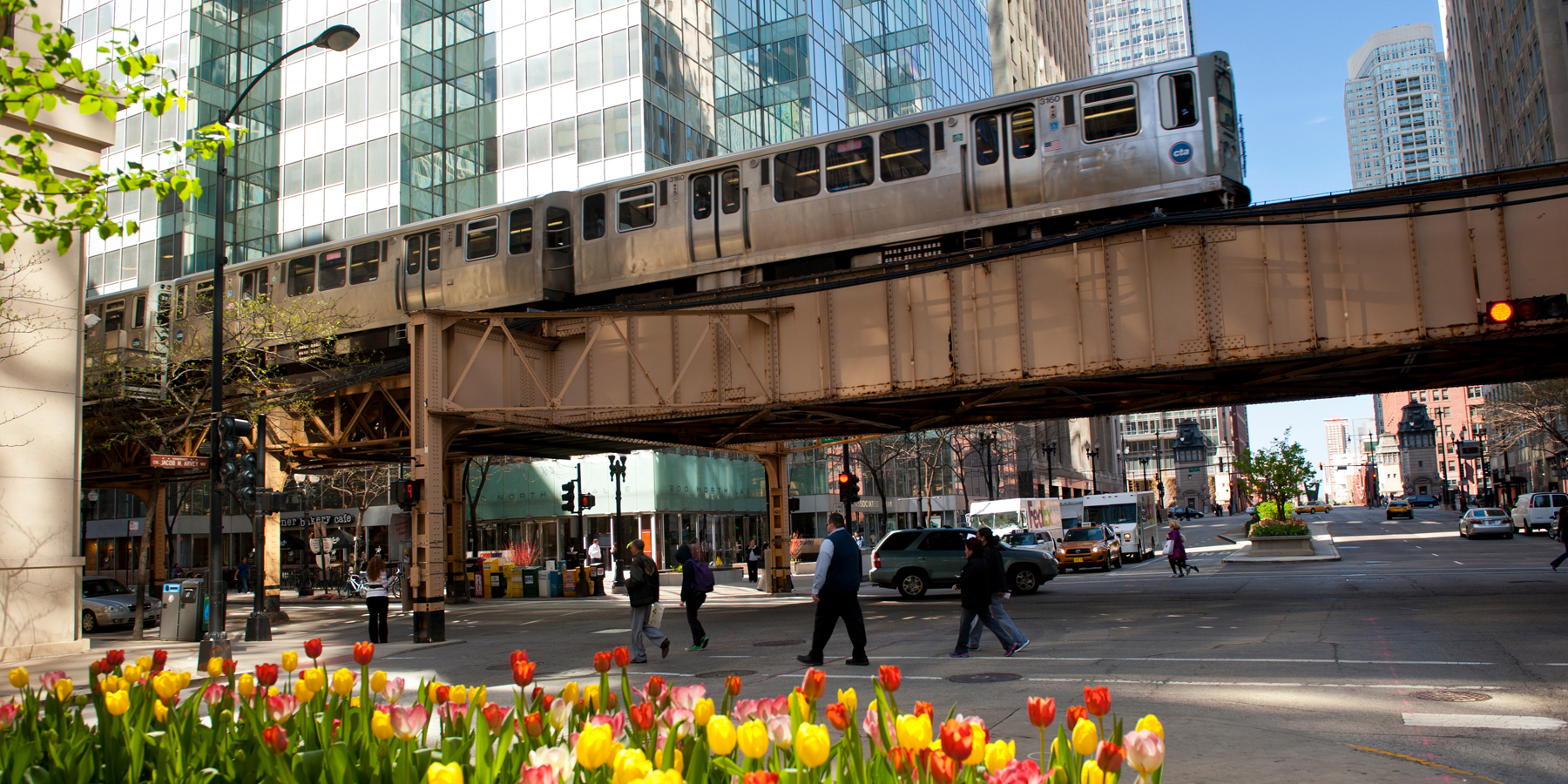 CTA Trains